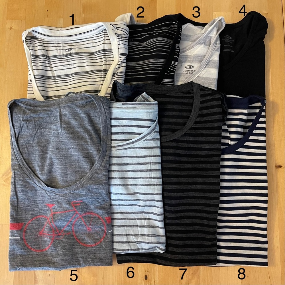 Icebreaker Merino T-shirt